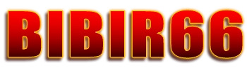 BIBIR66